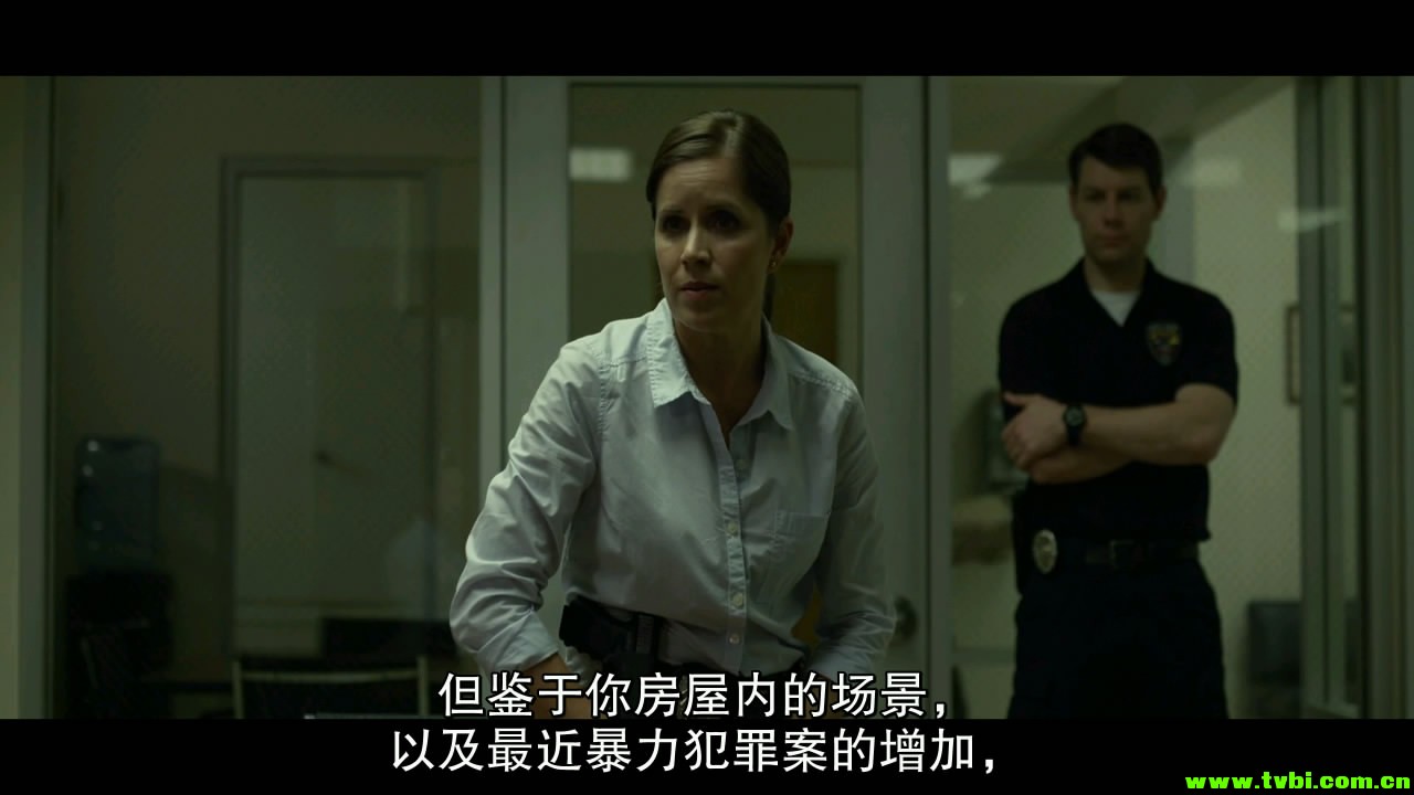 [美国][剧情][消失的爱人 Gone Girl.2014][rmvb/1.47g][英语中字]