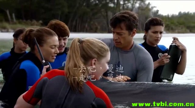 [美国][家庭][一只海豚的传说2 2014]]WEBRip/1.35 GiB][英语中字]