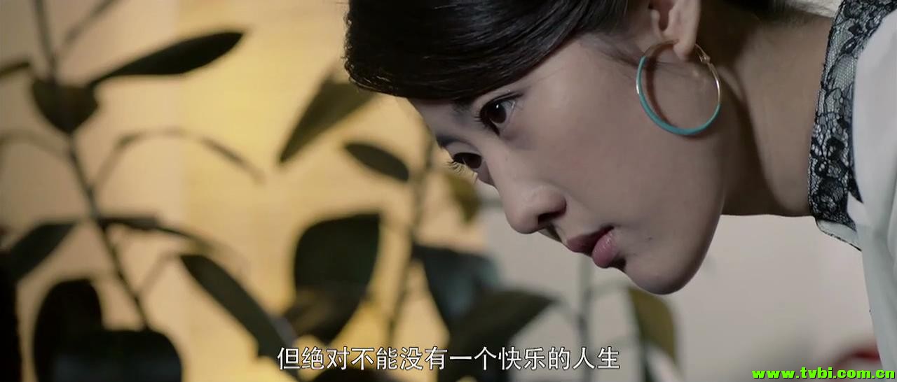 [中国大陆][剧情][房子 2014][MKV/1.18G][国语中字]