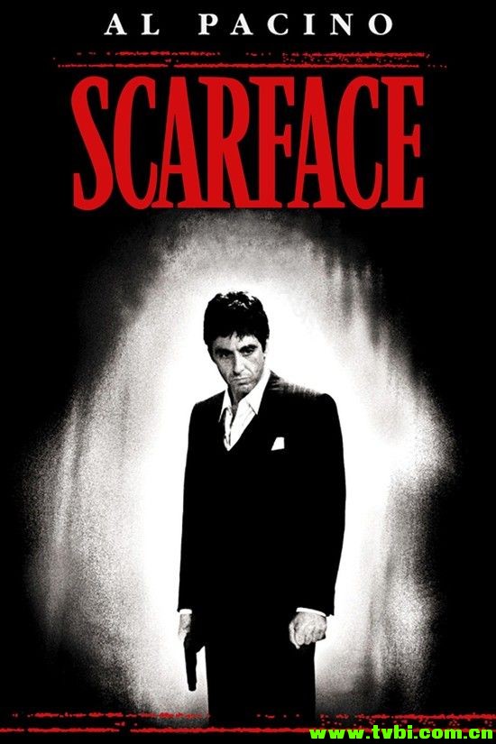 疤面煞星.Scarface.1983.1080p.BluRay.X264-AMIABLE