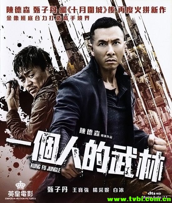 一个人的武林.Kung.Fu.Jungle.2014.1080p.BluRay.x264.DTS-WiKi