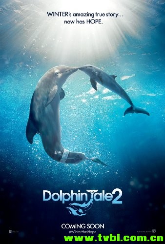 海豚的故事2.Dolphin.Tale.2.2014.1080p.BluRay.x264-GECKOS