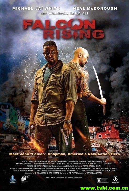 猎鹰突起.Falcon.Rising.2014.BluRay.x264.DTS-HD.MA.5.1-RARBG