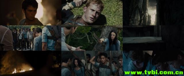 移动迷宫.The.Maze.Runner.2014.1080p.BluRay.x264-SPARKS