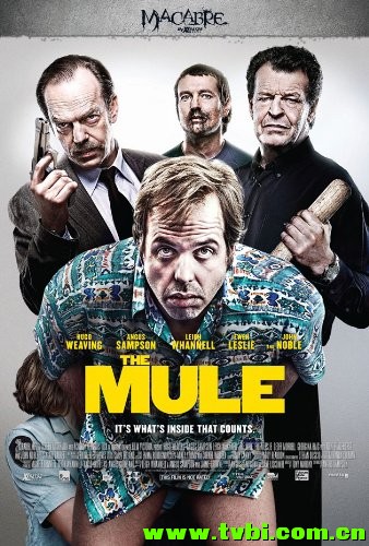 骡子.The.Mule.2014.1080p.BluRay.X264-CADAVER