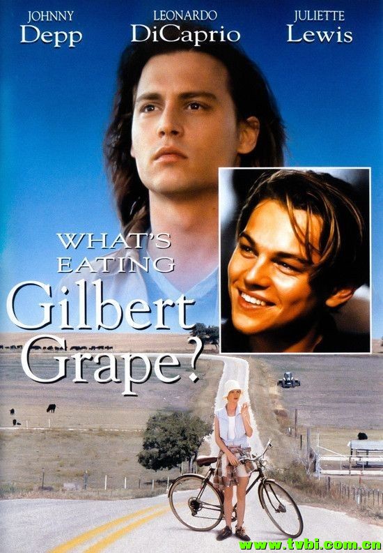 不一样的天空.Whats.Eating.Gilbert.Grape.1993.1080p.BluRay.x264-CiNEFiLE