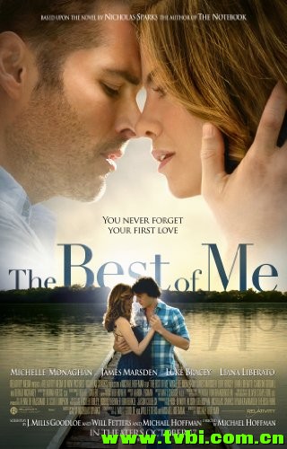 最好的我.The.Best.Of.Me.2014.1080p.BluRay.x264-GECKOS