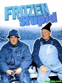 Frozen Stupid